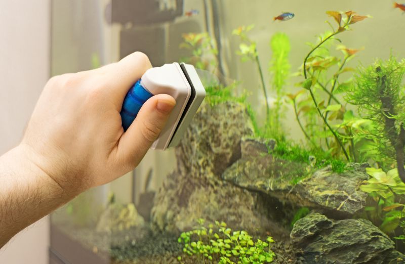 Clear, Beautiful Aquarium