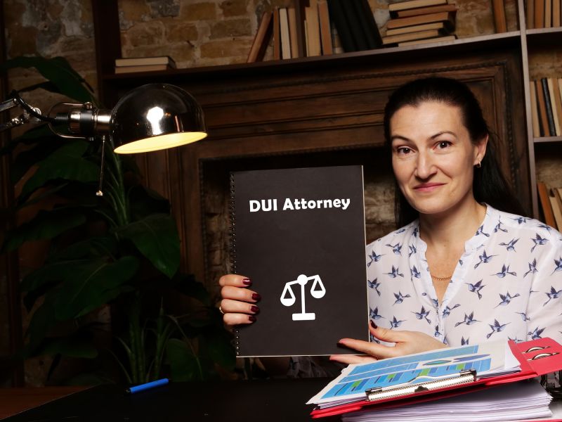 Skilled Plea Negotiations