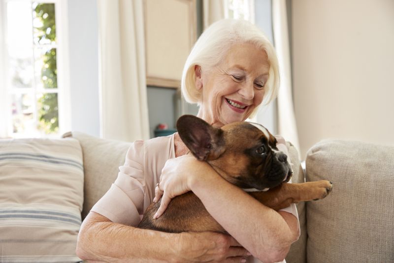 Reduced Pet Anxiety